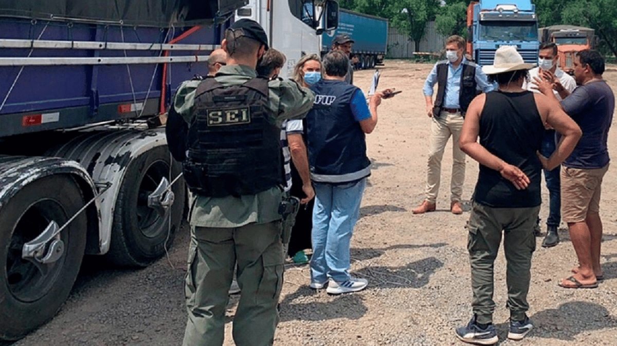 Golpe récord de la AFIP al contrabando: decomisan más de 8.100 toneladas de maíz